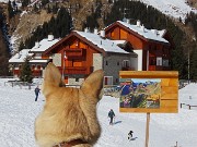 72 E poi faremo anche il Sentiero delle panchine !